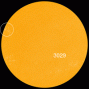 New sunspots are emerging at the circled location. They are crackling with C-class solar flares. [Photo courtesy of NASA SDO/HMI]