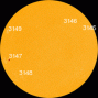 All of these sunspots are stable and quiet. [Photo courtesy of NASA SDO/HMI]