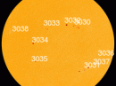 There are nine sunspot groups on the solar disk, the most in years. Sunspot AR3031 has a 'beta-gamma' magnetic field that harbors energy for M-class solar flares. [Photo courtesy of NASA SDO/HMI]